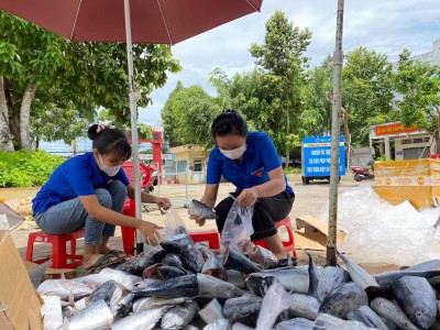 Thanh niên tình nguyện