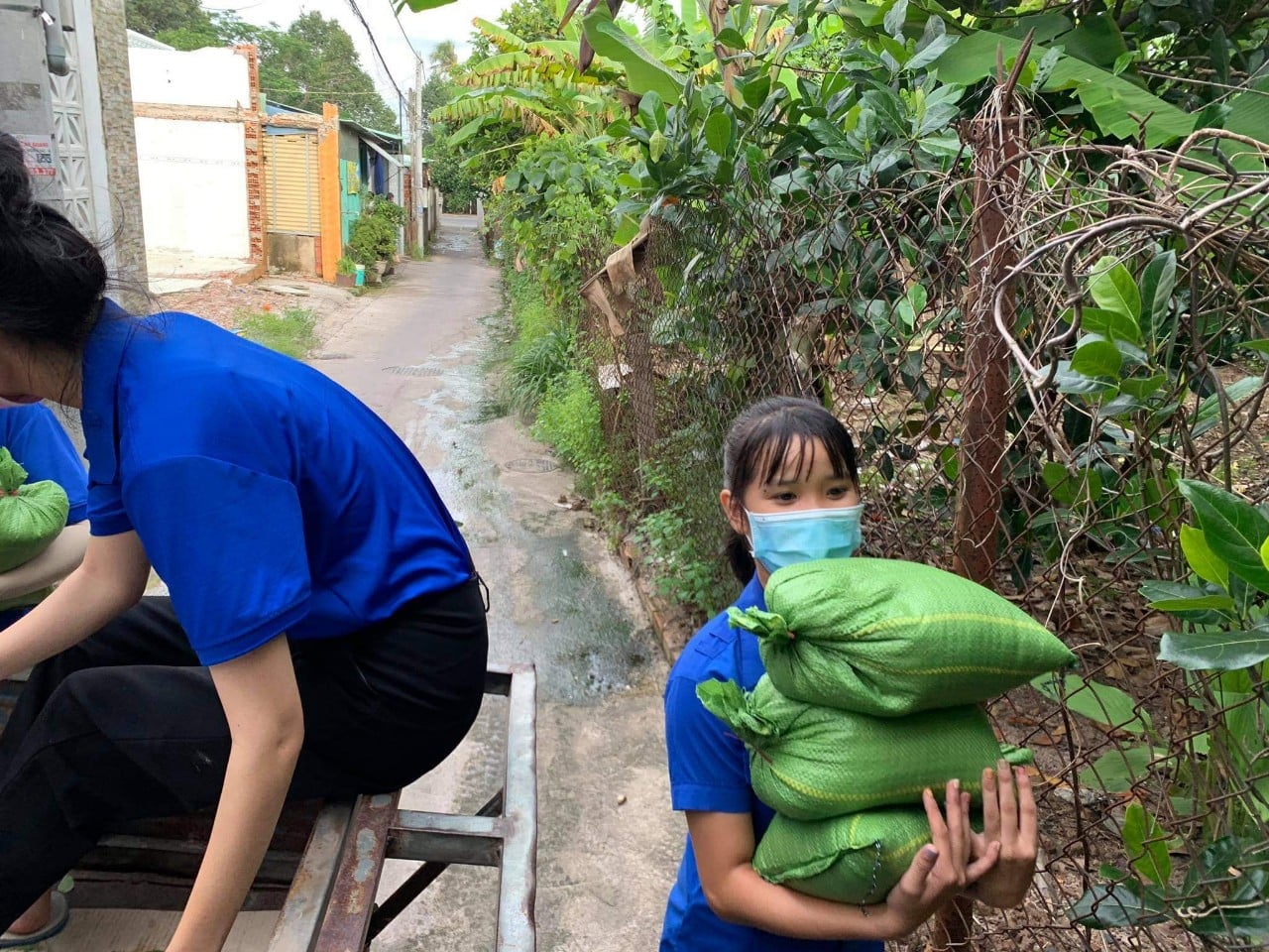 224617097 2964455253792903 8228369780373334260 n