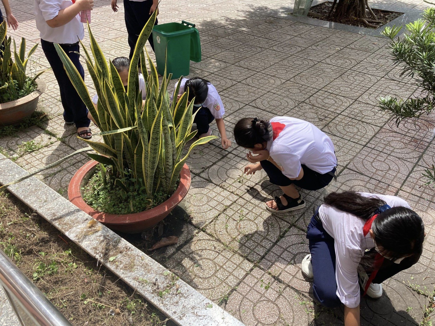 316312511 5437639349668663 3406686590805513905 n